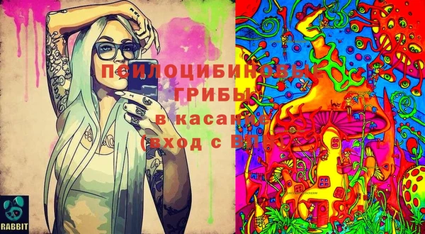 первитин Сатка