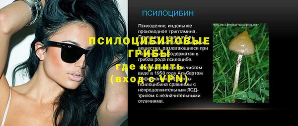 стафф Саяногорск