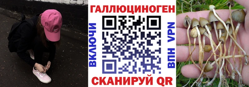 Купить закладки  Белогорск  Галлюциногенные грибы мицелий 